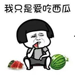 娱乐吃瓜用的音乐叫什么,揭秘流行乐坛的“瓜田乐章”